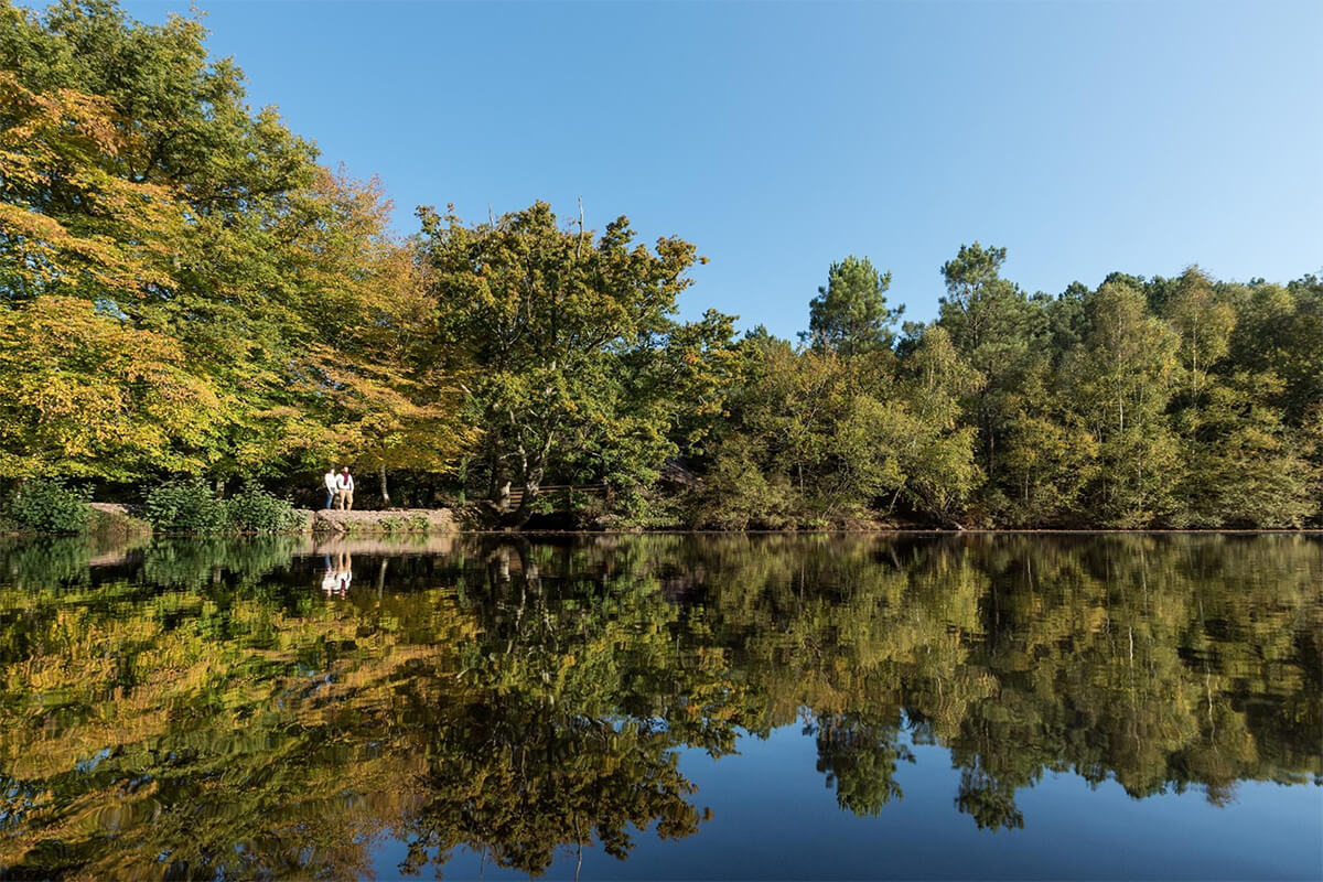 chauffeur femme Rennes Forêt de Brocéliande